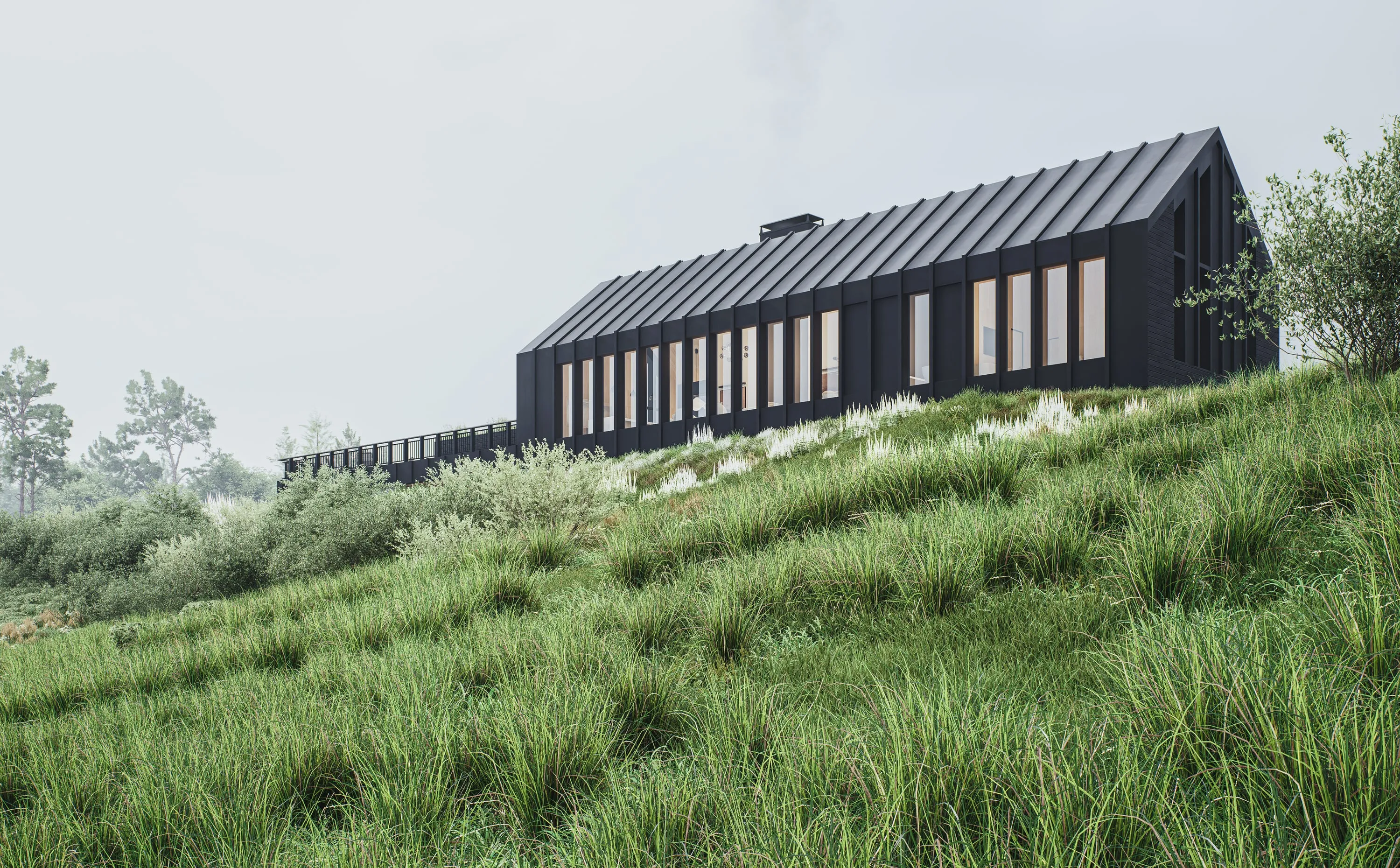 Design rendering of the house across the meadow.